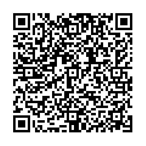 BETVLCTOR伟德在线