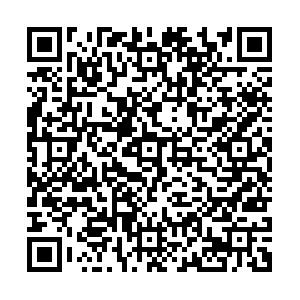 BETVLCTOR伟德在线