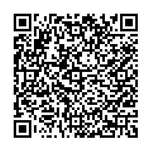 BETVLCTOR伟德在线